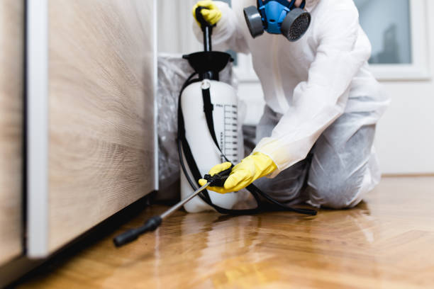 Best Pest Inspection Near Me  in Hyrum, UT