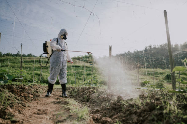 Pest Prevention Services in Hyrum, UT