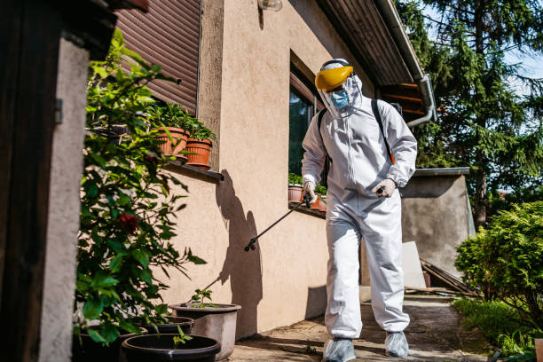 Best Pest Removal Services  in Hyrum, UT