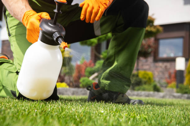 Wasp Removal Services in Hyrum, UT