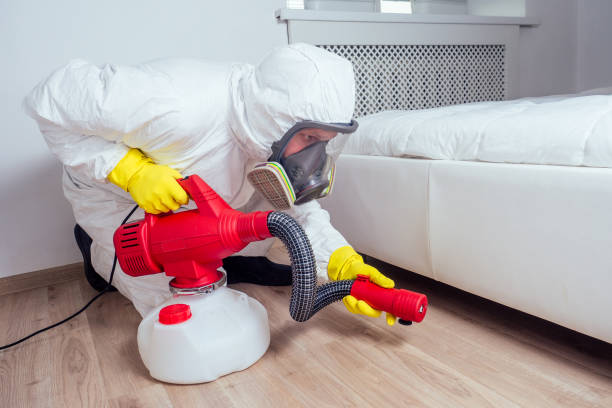 Best Wasp Removal Services  in Hyrum, UT
