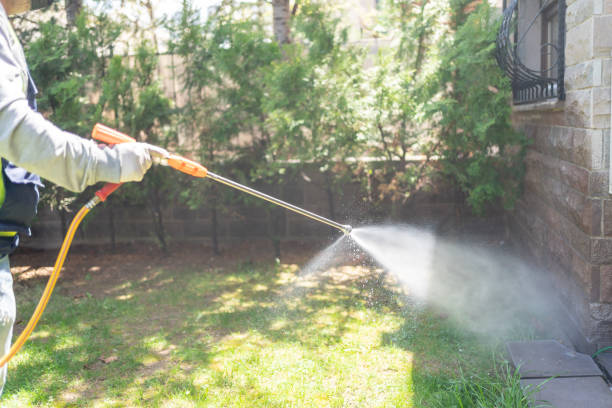 Best Termite Control Services  in Hyrum, UT