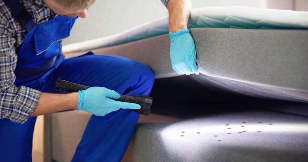 Best Pest Control for Restaurants  in Hyrum, UT