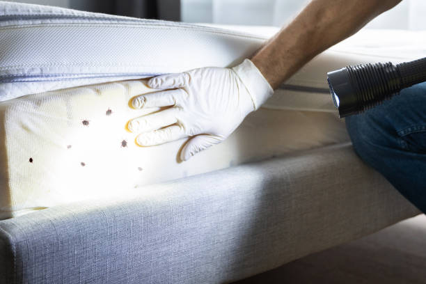 Best Best Pest Control Companies  in Hyrum, UT