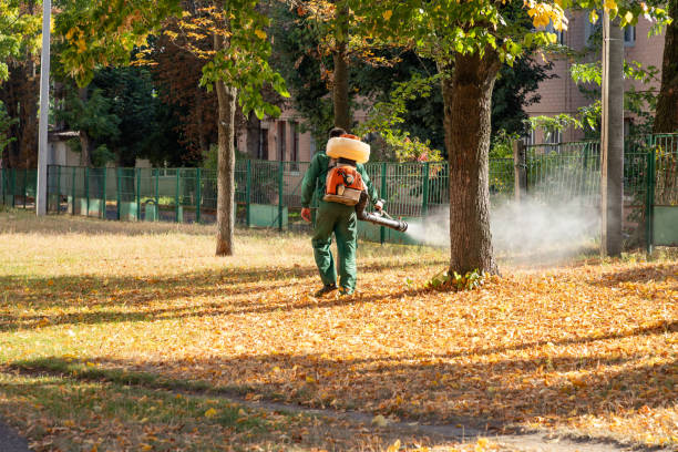 Pest Control for Restaurants in Hyrum, UT