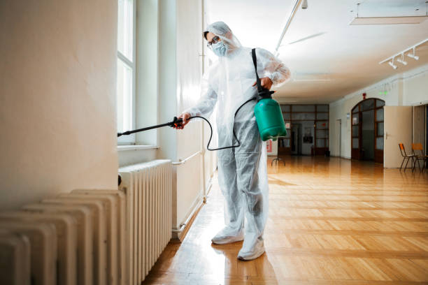 Professional Pest Control in Hyrum, UT