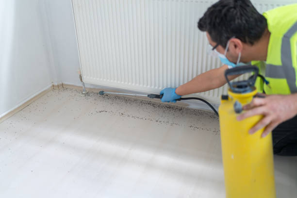 Best Bed Bug Extermination  in Hyrum, UT